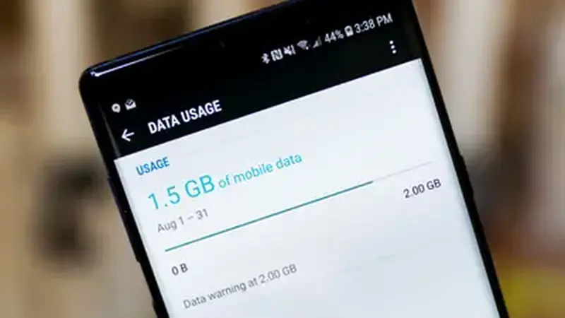 Smartphone showing mobile data usage statistics screen