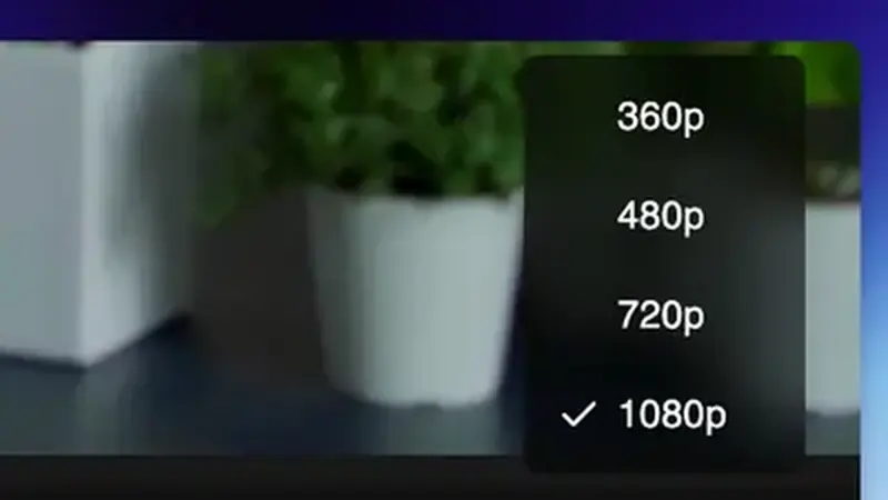 Video player settings showing stream quality options on a phone